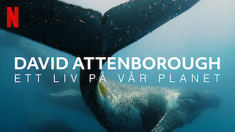 David Attenborough: Ett liv på vår planet (2020)