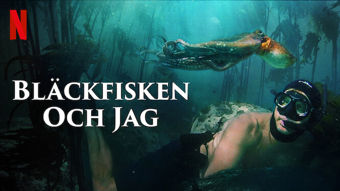 Bläckfisken och jag